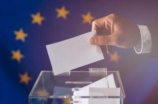 Skargi na wytyczne PKW w wyborach do Parlamentu Europejskiego