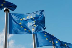 PKW: usunięcie flagi unijnej jest wykroczeniem