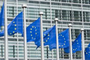 Komisja Europejska chce decydować o przyznaniu azylu