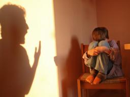 Ochrona ofiar przemocy domowej: niezłe rozwiązania i szwankująca rzeczywistość