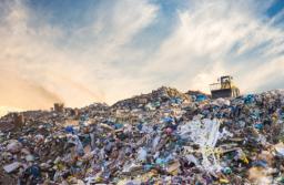 Zielonogórski Związek Gmin ustalił opłaty za odbiór śmieci od mieszkańców