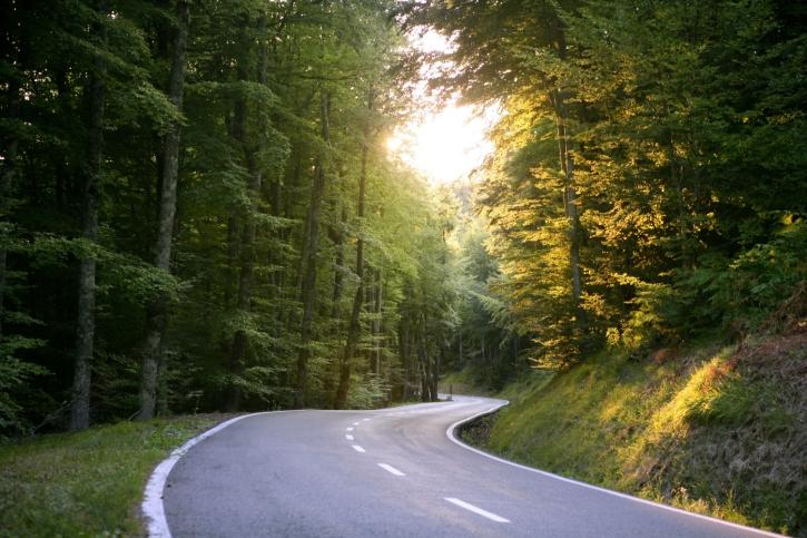 Lubelskie samorządy chcą przebudować 388 km dróg lokalnych