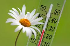 Datę wyborów samorządowych poznamy w wakacje