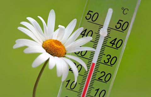 Datę wyborów samorządowych poznamy w wakacje