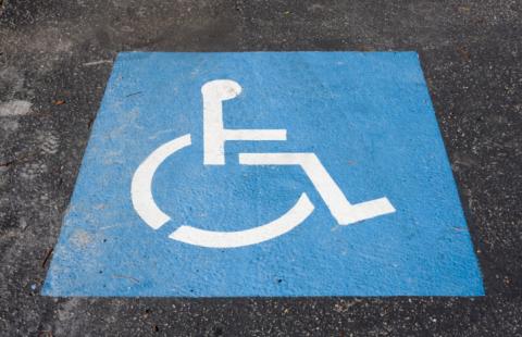 Sosnowiec uruchomił ogród sensoryczny dla niepełnosprawnych
