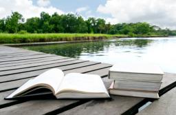 Odpowiedzialność za powstanie szkody w lasach