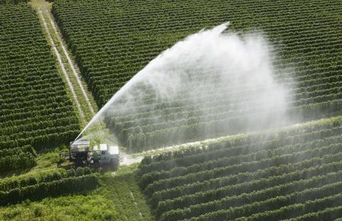 Zachodniopomorscy rolnicy przejdą szkolenie nt. zanieczyszczeń wód