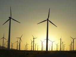 C-Wind planuje budowę farm wiatrowych na Bałtyku