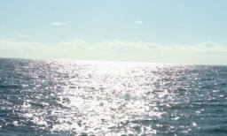 WWF: rybacy wyłowili 22 tony sieci-widm z Bałtyku