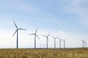 Branża wiatrowa : ustawa krajobrazowa może zahamować rozwój energetyki wiatrowej