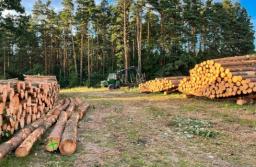Saperzy rozminowali prawie osiem hektarów lasów na Mazurach