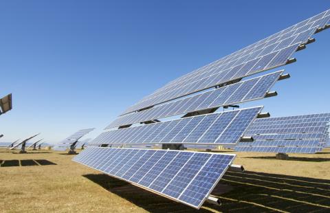 Rolnicy popierają rozwój elektrowni słonecznych