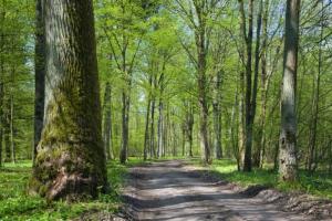Olsztyn: ponad 3 mln zł z UE na park i ochronę przyrody