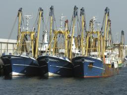 W UE nadal nie ma skutecznego systemu kontroli rybołówstwa