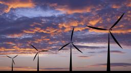 Amerykańska firma pozywa Tauron za zerwanie umów na energię z wiatraków
