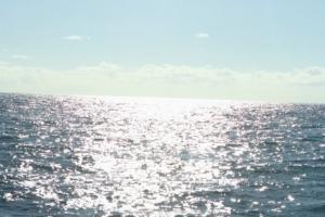 Projekt Krajowego programu ochrony wód morskich w trakcie konsultacji