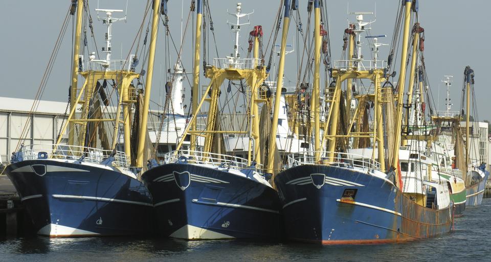 UE ustaliła kwoty połowowe dla Bałtyku