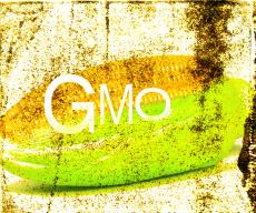 Znowelizowana ustawa pozwoli na skuteczniejszą kontrolę upraw GMO