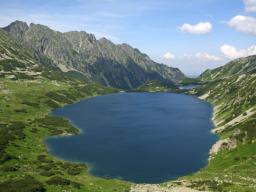 Władze Tatrzańskiego Parku Narodowego szukają wolontariuszy do pilnowania krokusów