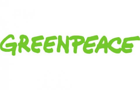 Greenpeace: zakończenie komercyjnych odstrzałów żubrów to sukces tysięcy Polaków