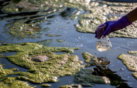 Jest akt oskarżenia w sprawie zatrucia Warty