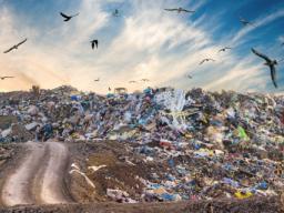 Nowe prawo ma zapobiec patologiom w gospodarce odpadami