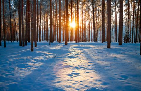 Kto płaci podatek za grunty sklasyfikowane jako lasy w przypadku zawarcia umowy cywilnoprawnej (dzierżawa) przez Skarb Państwa - Państwowym Gospodarstwem Leśnym, Lasy Państwowe - Nadleśnictwo na rzecz Miasta w celu realizacji inwestycji miejski?
