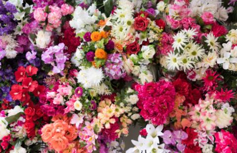 Czy zakupy kwiatów, materiału do dekoracji sal należy ująć w PKPiR w kolumnie 10, czy też kolumnie 13 (sprzedaż ujmowana jest w kolumnie 7)?