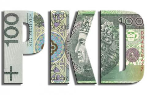 Jaki symbol PKD zastosować w przypadku rozszerzenia działalności gospodarczej?