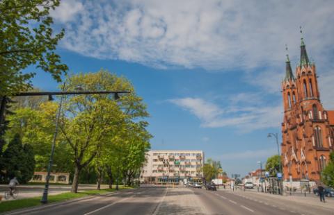 Przy zezwoleniu na wycinkę urzędnik nie zastąpi obiektywnego biegłego