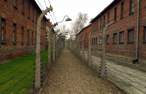 Dyrektor Muzeum Auschwitz: o Holokauście nie tylko na historii