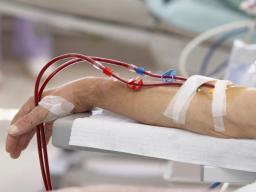 Standardy prawne w zakresie pobierania krwi do celów leczniczych