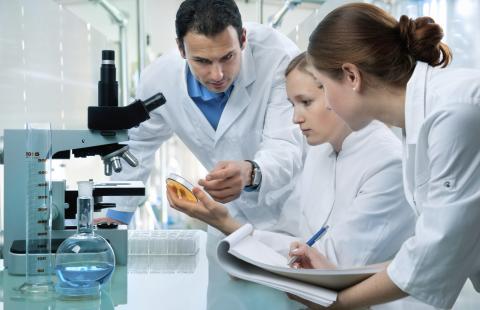 Pracodawcy RP: na temat diagnostyki laboratoryjnej panuje wiele błędnych opinii
