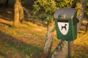 Pogryzienie przez psa przemocą domową? Lekarz musi ją zgłosić