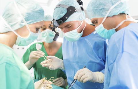 Pierwszy w Polsce kurs chirurgii plastycznej nosa na preparatach nieutrwalonych