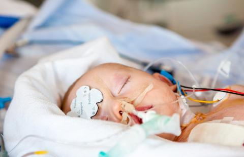 Kielce: szpital wojewódzki leczy coraz więcej noworodków