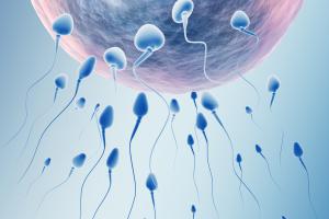 Mężczyźni mają problem ze zbyt małą liczbą plemników