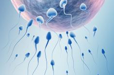 Mężczyźni mają problem ze zbyt małą liczbą plemników