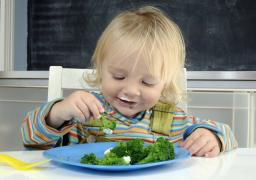 Kielce: salmonella przyczyną zachorowań dzieci z przedszkoli
