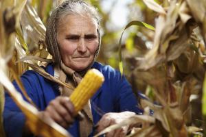 Obywatelski projekt obniżenia wieku emerytalnego rolników już w Sejmie