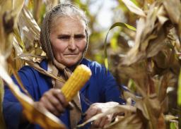 Obywatelski projekt obniżenia wieku emerytalnego rolników już w Sejmie