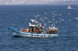 Nowy tekst ustawy o pracy na morzu