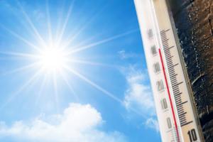 Upał nie zwalnia z obowiązku stosowania odzieży ochronnej i roboczej