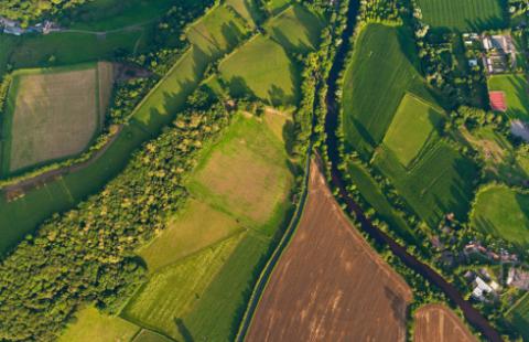 NSA: Za opłatę targową odpowiada sprzedawca