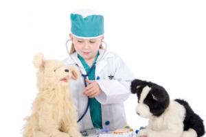 Szkolne doradztwo zawodowe - wystarczą studia podyplomowe