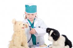 Szkolne doradztwo zawodowe - wystarczą studia podyplomowe