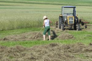 SN: Dramat rolniczki, której KRUS cofnął ubezpieczenie o 10 lat