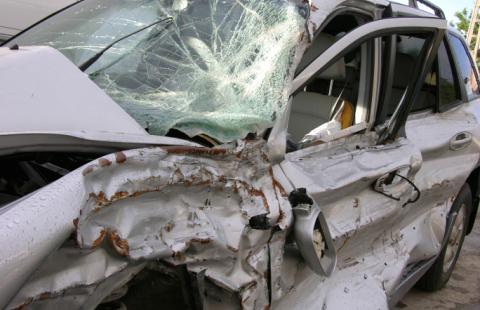 Sąd: Poszkodowany, na którego pojazd spadło drzewo ma prawo do zadośćuczynienia