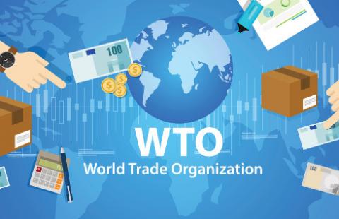 Światowa Organizacja Handlu chce stworzyć globalne zasady dla e-handlu