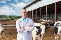 Będzie jednak etatyzacja lekarzy weterynarii